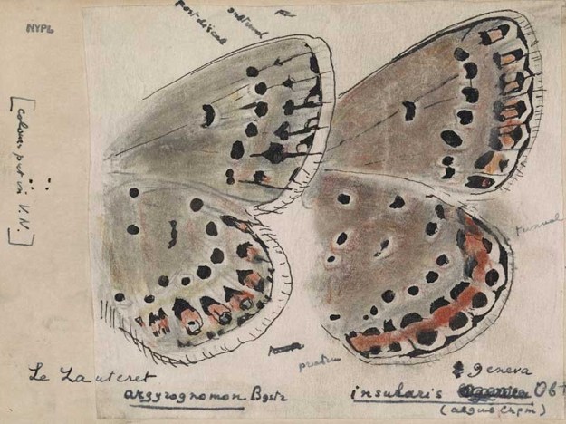 2GompertLucasSU_USTJan2018